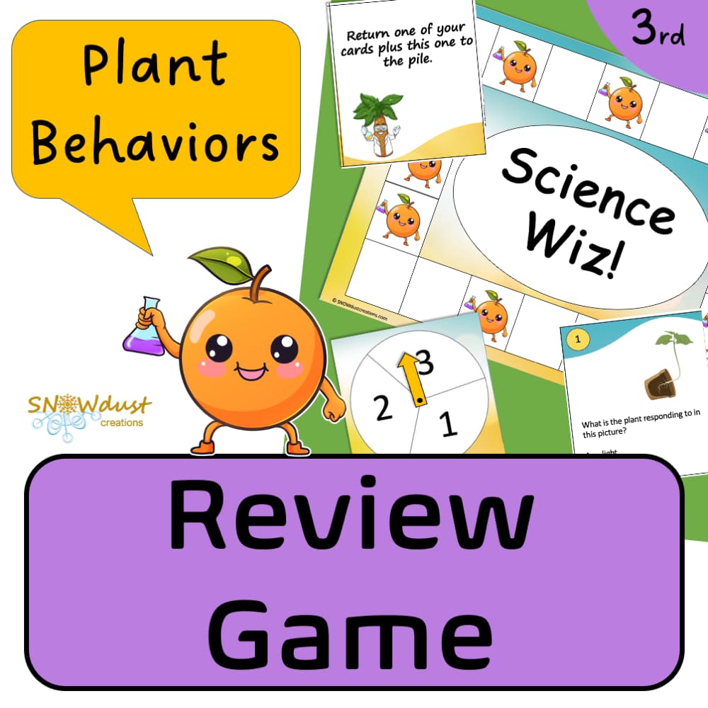 Review Game