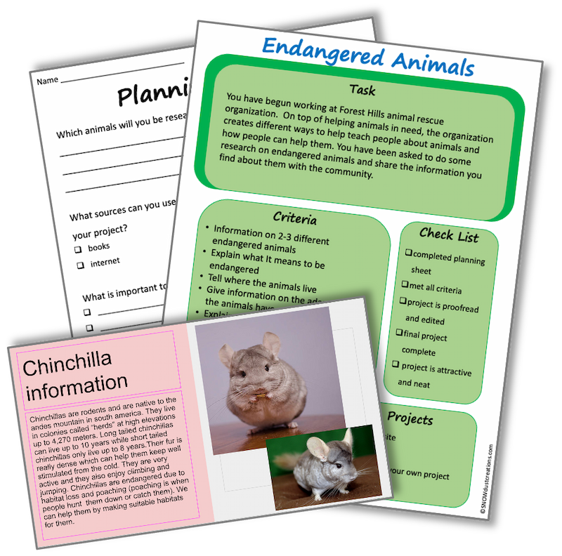 science project activity instruction examples